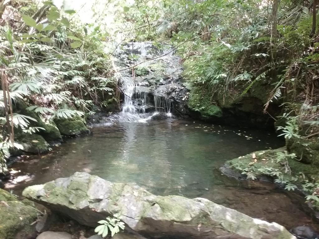 فيلا Victoria Valleyفي Fern Ridge Hideaway المظهر الخارجي الصورة